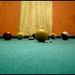 Profile Picture of Jared Schaeffer (@jaredschaeffer) on Pinterest