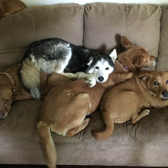 Profile Picture of Pamela Poteat (@lulududley) on Poshmark