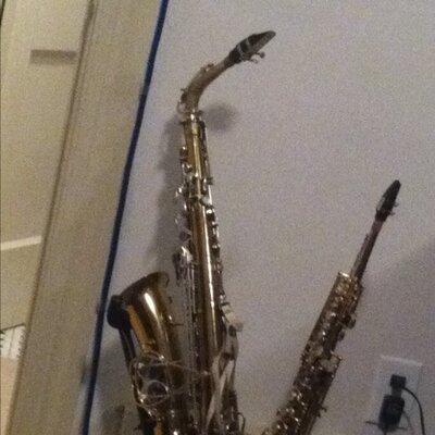 Profile Picture of Matt Klug (@saxysaxguy) on Twitter