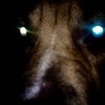 Profile Picture of chris allsop (@chris.allsop) on Instagram