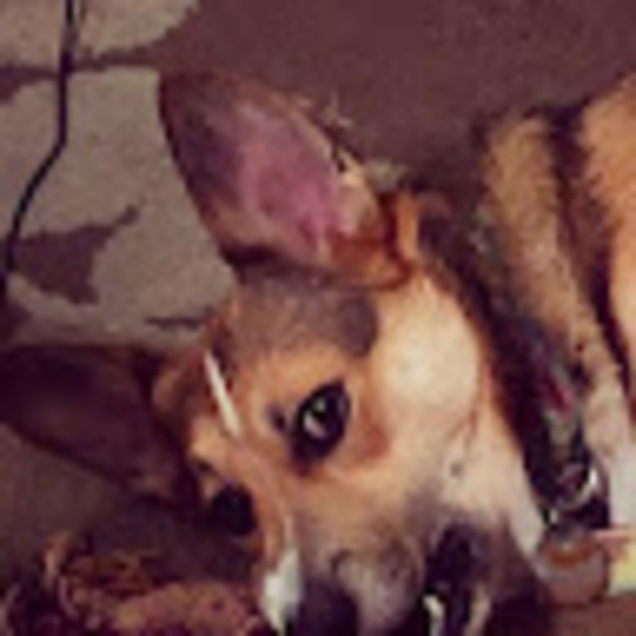 Profile Picture of Jeff Rieck (@jeffrieck) on Poshmark