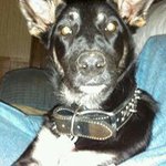 Jon Hogan - Instagram Profile Picture of Jon Hogan (@hoganjon) on Instagram