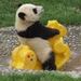 Profile Picture of Nicholas Bernstein (@bernstein2738) on Pinterest