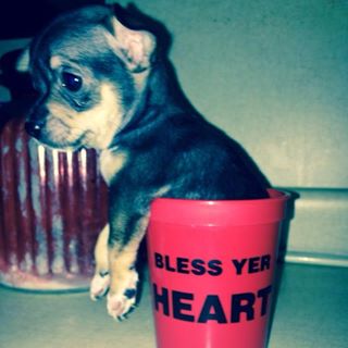 Profile Picture of Andrew Rylander (@andrew.rylander) on Facebook