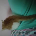 Profile Picture of Jacob Valles (@Jacob-Valles) on Facebook