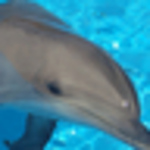 Profile Picture of Laurence Migault (@lolaaa8) on Flickr