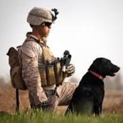 Profile Picture of Shane Crouch (@ShaneCrouch17) on Twitter