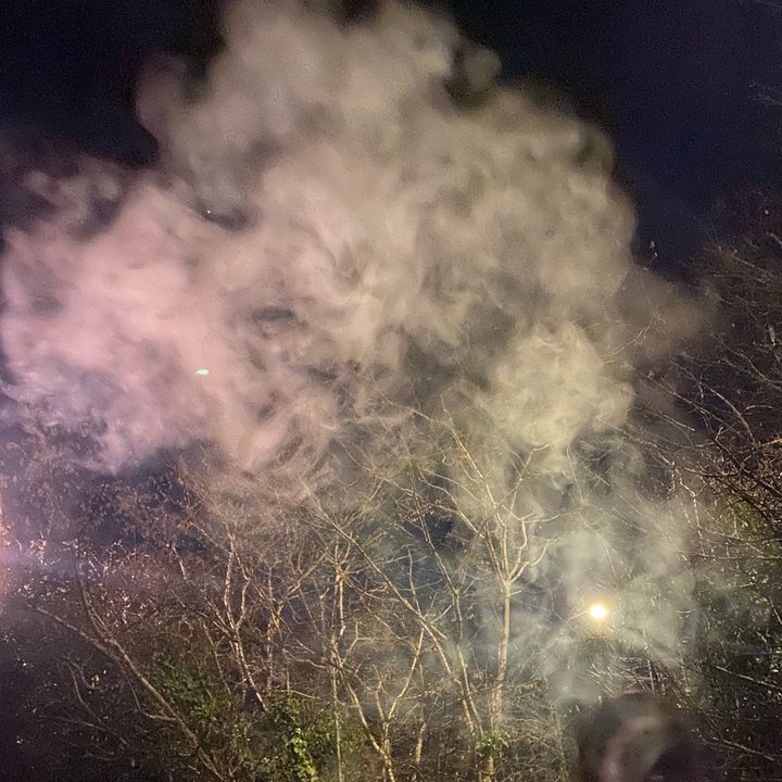 Profile Picture of Lily Poole (@lilypoole) on Tiktok