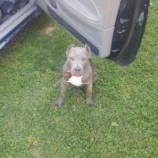 Profile Picture of Oneal Davis (@OnealDavis1) on Twitter