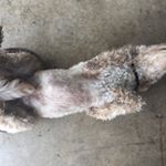 Profile Picture of Marc Guindon (@p6a2018) on Instagram