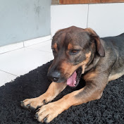 Profile Picture of Patricia Pieczykolan (@patriciapieczykolan894) on Youtube