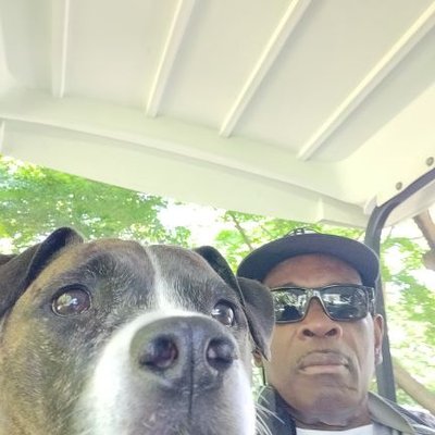 Profile Picture of Shelly Hubbard (@ShellyH07039309) on Twitter