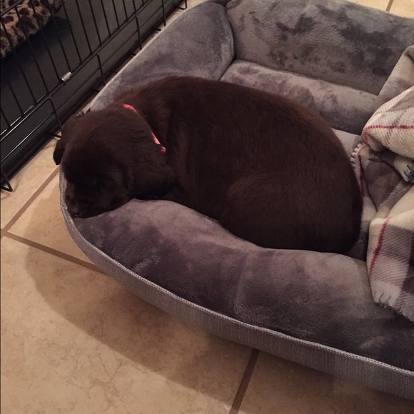 Profile Picture of Irma Lebsack (@lebsacki) on Poshmark