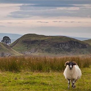 Profile Picture of Tracey Richards Jennings (Granny Clanger) (@tracey.richardsjennings) on Facebook