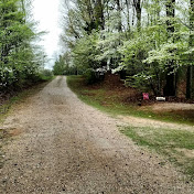 Profile Picture of David Brannen (@davidbrannen7148) on Youtube