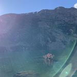 Profile Picture of Alex Conlin (@zander3683) on Instagram