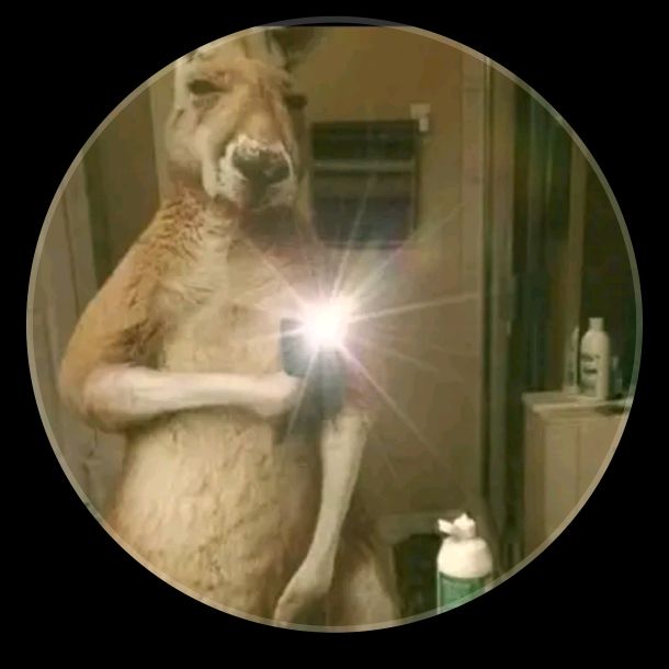 Profile Picture of Roberto.labraña (@robertlabr) on Tiktok