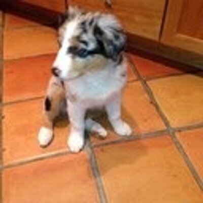 Profile Picture of Elizabeth Lindquist (@@ElizabethLindq1) on Twitter