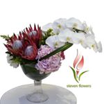 Profile Picture of steven_flowers_ co (@stevenflowersco) on Instagram