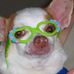 Profile Picture of Wilbur Martin (@wilbur.martin.357) on Facebook
