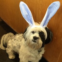 Profile Picture of Alex Arceneaux (@alex-arceneaux-2) on Quora