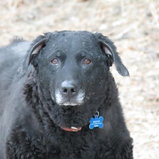 Profile Picture of Jason DeBar (@JasonDDeBar) on Facebook