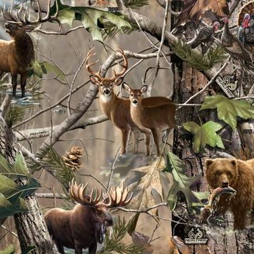 Profile Picture of Joshua Roehrig (@RoehrigJoshua) on Twitter