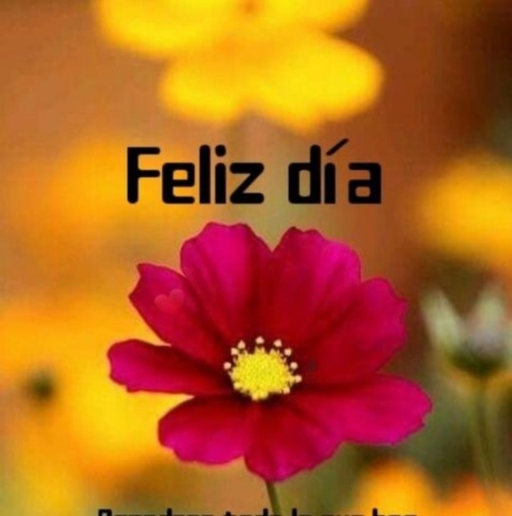 Profile Picture of Silvia Silvia (@siilviialara27) on Poshmark