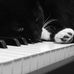 Profile Picture of Paolo Corso (@paolo.corso.5) on Facebook