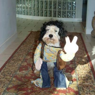 Profile Picture of Erik Lazaro Santos (@TURMADEBOA) on Twitter