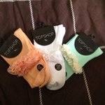 Profile Picture of Roger Ruf (@hippodoomsimply) on Instagram