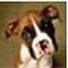 Profile Picture of Gene Chang (@genechangrf) on Pinterest