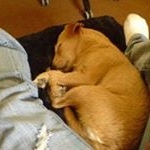 Profile Picture of Wayne Armitage (@wayne.armitage) on Instagram