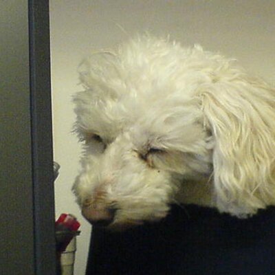 Profile Picture of Jim Pinel (@madjimbo) on Twitter