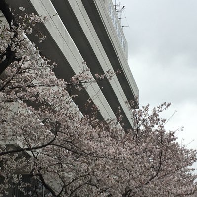 Profile Picture of Minoru Tabata (@MinoruTabata) on Twitter