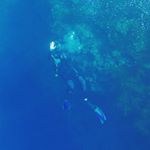 Profile Picture of Jared Serrato (@guruhashkm) on Instagram