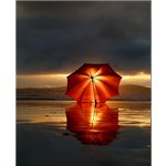 Profile Picture of Robin Gessner (@clemenciaq489) on Instagram