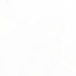 Molly Clarkson - Instagram Profile Picture of Molly Clarkson (@navarettaoil5693) on Instagram