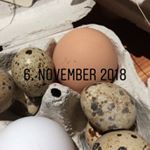 Profile Picture of Robert Thurner (@thurnerrobert) on Instagram