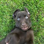 Profile Picture of Steven Rizzotto (@firesteve97) on Instagram