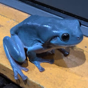 Zachary Rodriguez - Youtube Profile Picture of Zachary Rodriguez (@zacharyrodriguez928) on Youtube