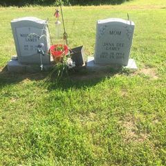 Profile Picture of davidlamey729 (@davidlamey729) on Tiktok