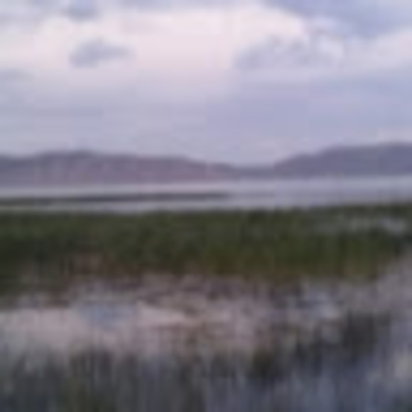 Profile Picture of Sieglinde Hugo (@sieglindehugo) on Poshmark