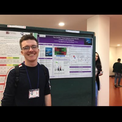 Profile Picture of Dan Ripley (@ElasmoDan) on Twitter