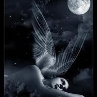 Profile Picture of Zulma M. Suarez (@zufinca40) on Twitter