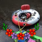 Profile Picture of Patti Fultz (@Patti-Fultz) on Facebook