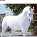 Profile Picture of Darril Wilbert (@darril.wilbert) on Facebook