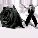 Profile Picture of Lupita Montemayor Flores (@lupita.florez.165685) on Facebook