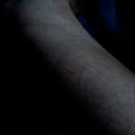 Tina Ackner - Instagram Profile Picture of Tina Ackner (@veavlin) on Instagram