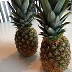 Gabriel Moberg - Instagram Profile Picture of Gabriel Moberg (@gabbethespy) on Instagram